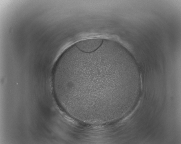 X0000067461501200604142311