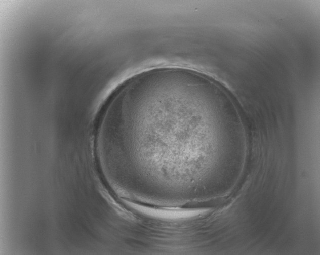 X0000067461503200604142311