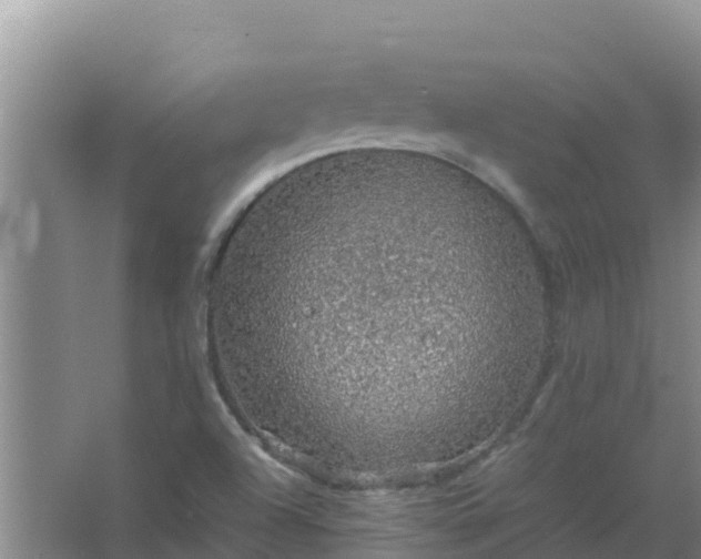 X0000067461504200604142311