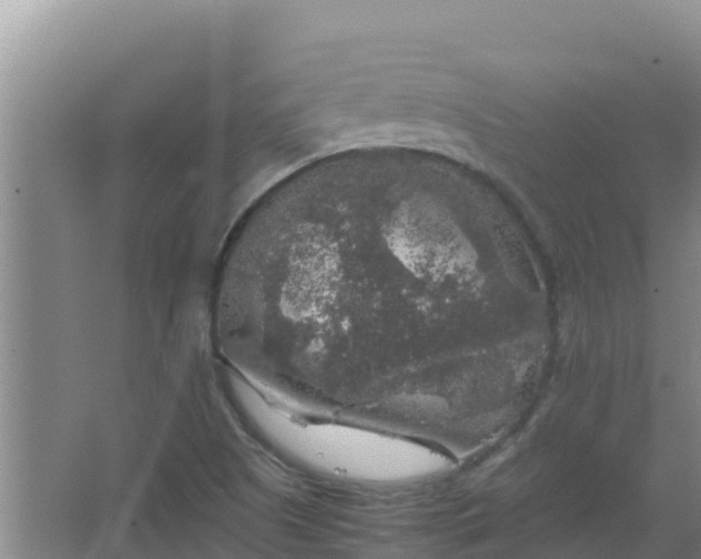 X0000067461505200604142311