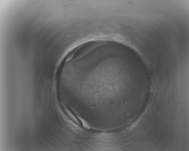 X0000067461506200604142311