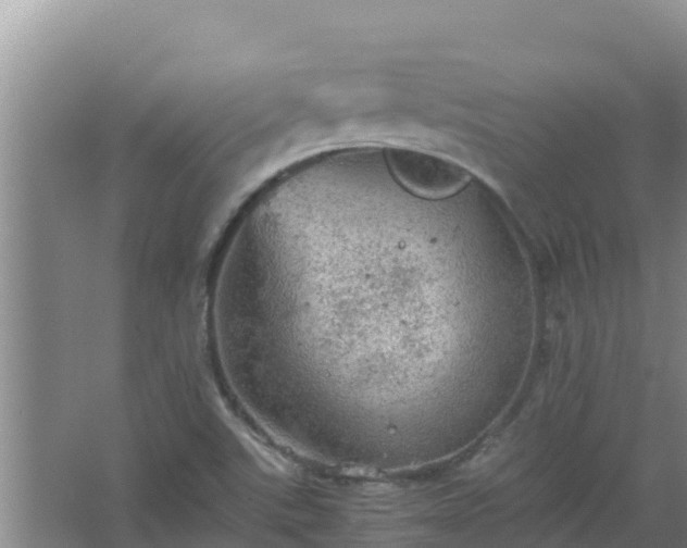 X0000067461507200604142311