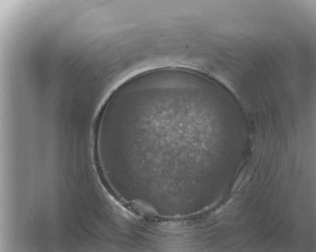 X0000067461508200604142311