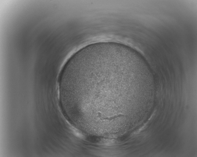 X0000067461509200604142311