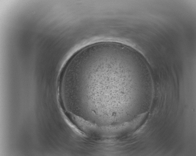 X0000067461511200604142311