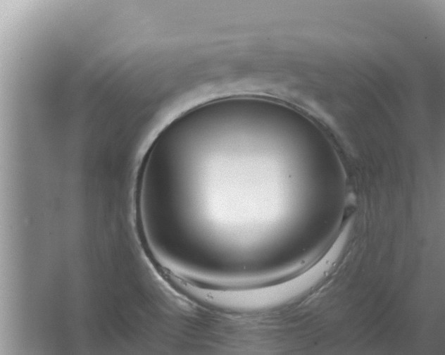 X0000067461512200604142311