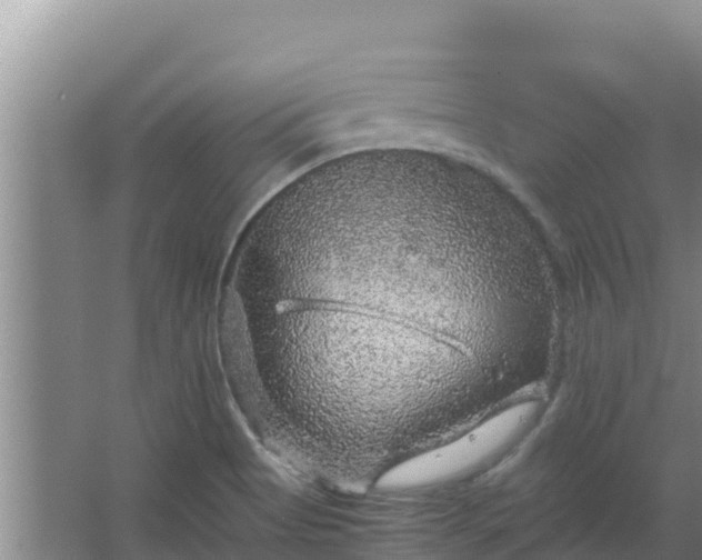 X0000067461513200604142311