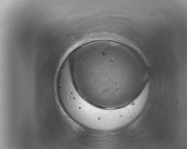 X0000067461514200604142311