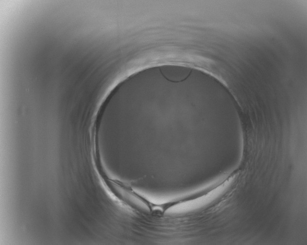 X0000067461515200604142311