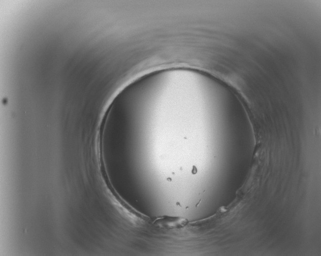 X0000067461516200604142311