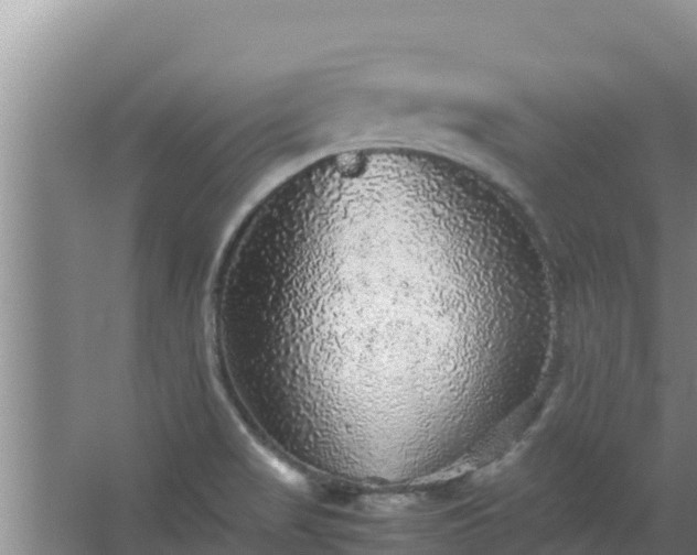 X0000067461517200604142311