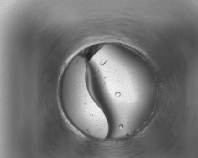 X0000067461518200604142311