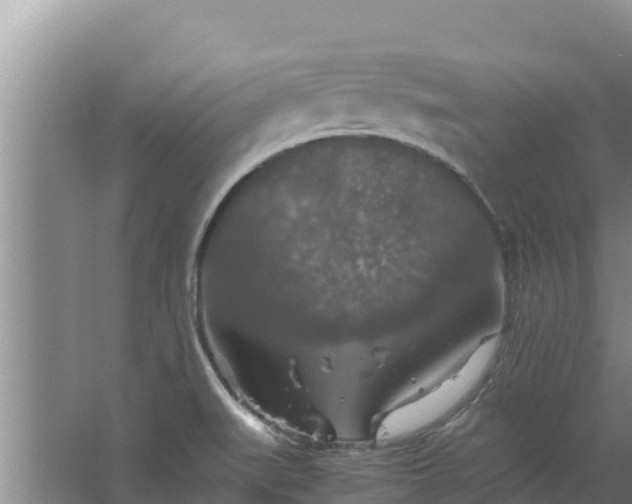 X0000067461519200604142311