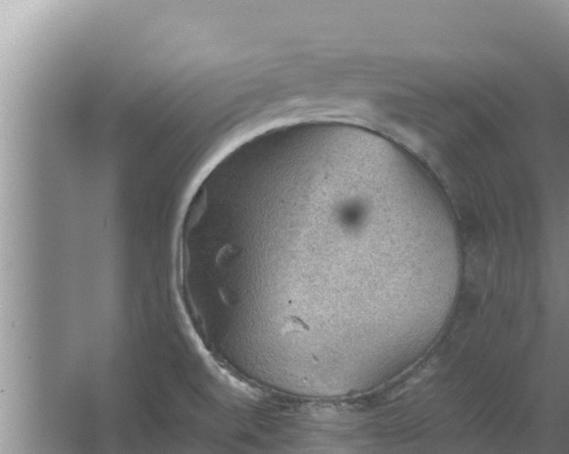 X0000067461520200604142311