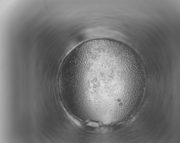 X0000067461521200604142311