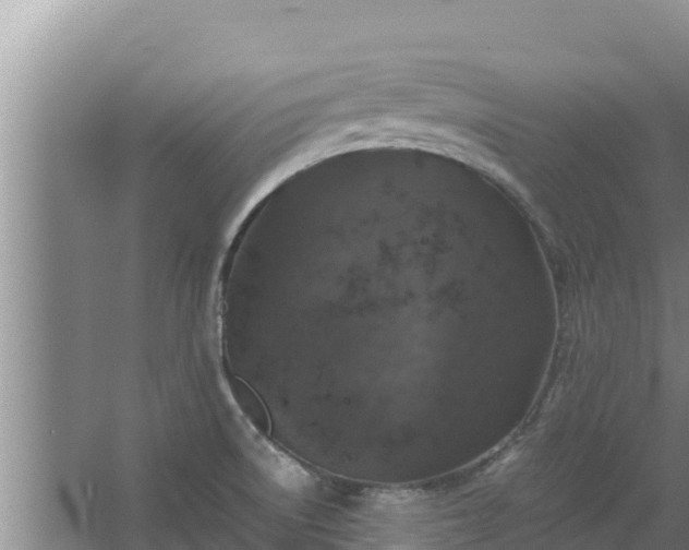 X0000067461522200604142311