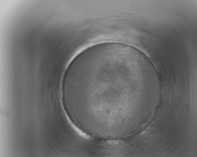 X0000067461523200604142311