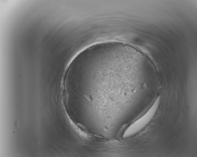 X0000067461524200604142311