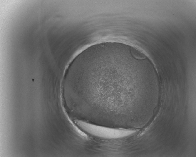 X0000067461525200604142311