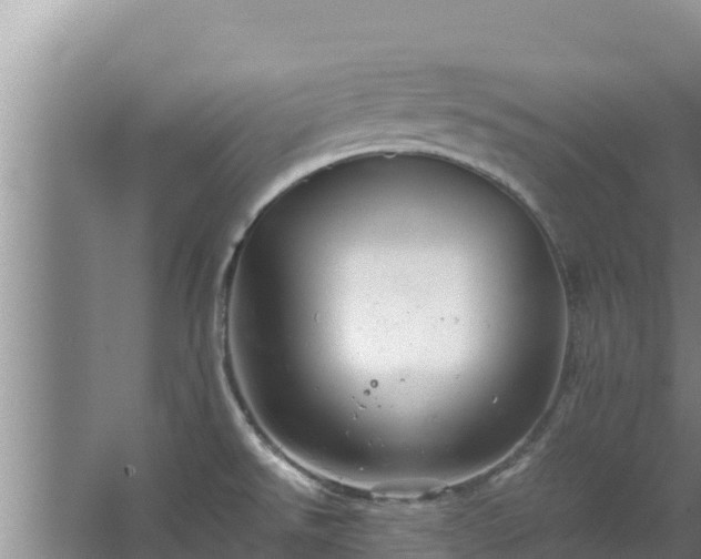 X0000067461526200604142311