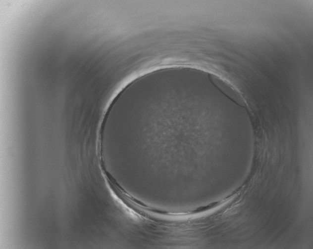 X0000067461527200604142311