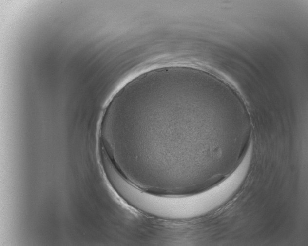 X0000067461528200604142311