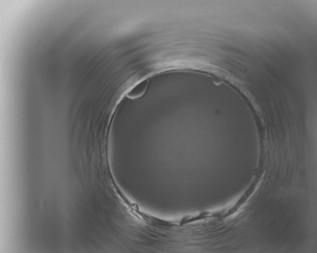 X0000067461529200604142311