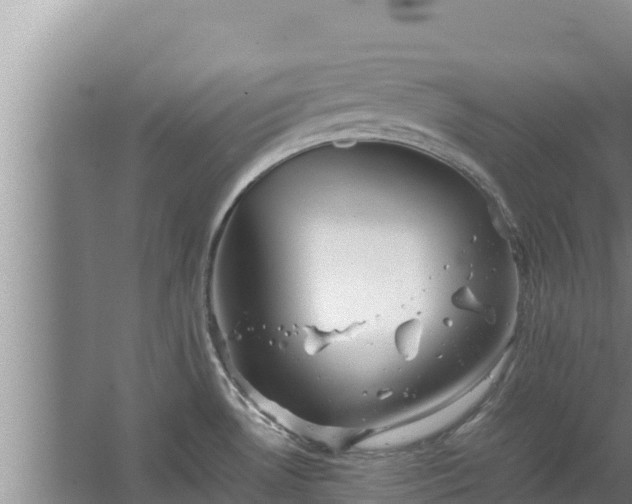 X0000067461530200604142311