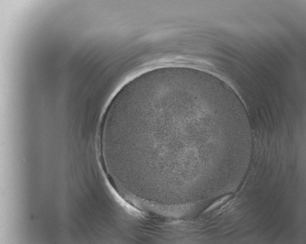 X0000067461531200604142311