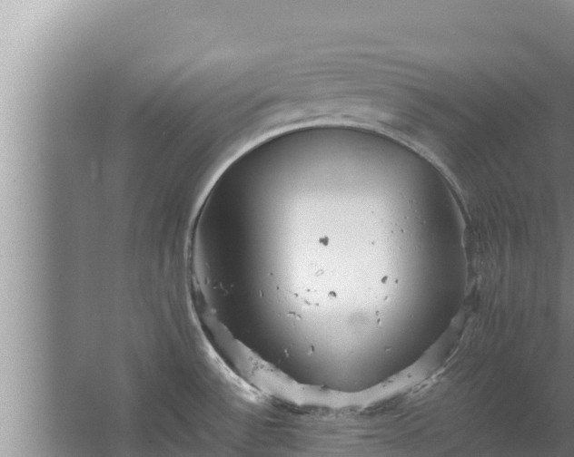 X0000067461532200604142311