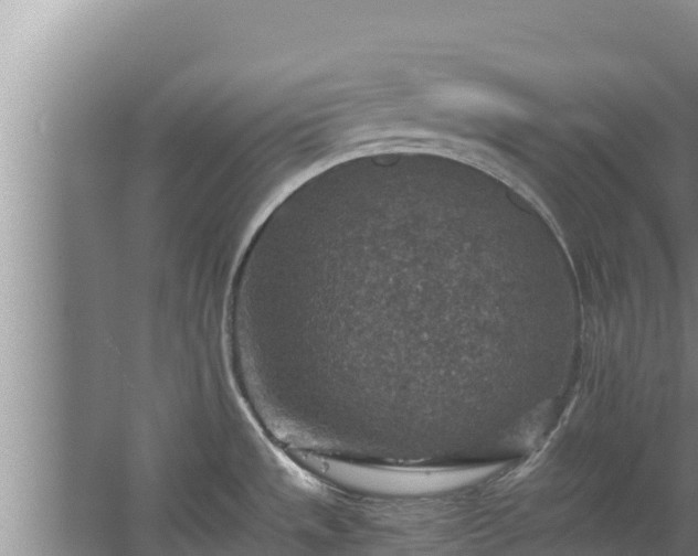 X0000067461533200604142312