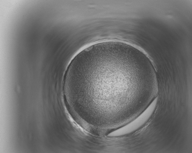 X0000067461534200604142312