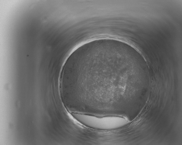 X0000067461535200604142312