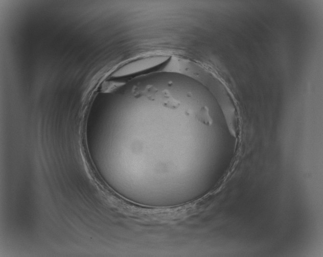 X0000067460001200604211553