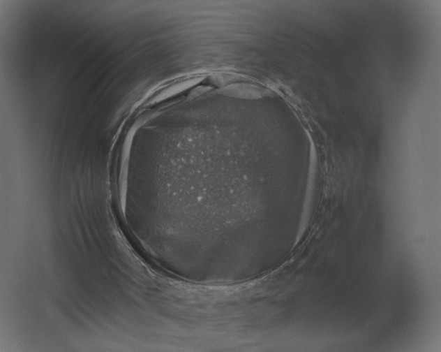 X0000067460002200604211553