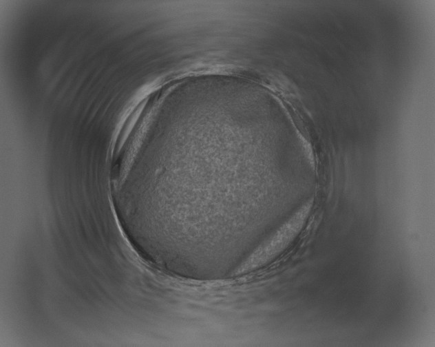 X0000067460003200604211553