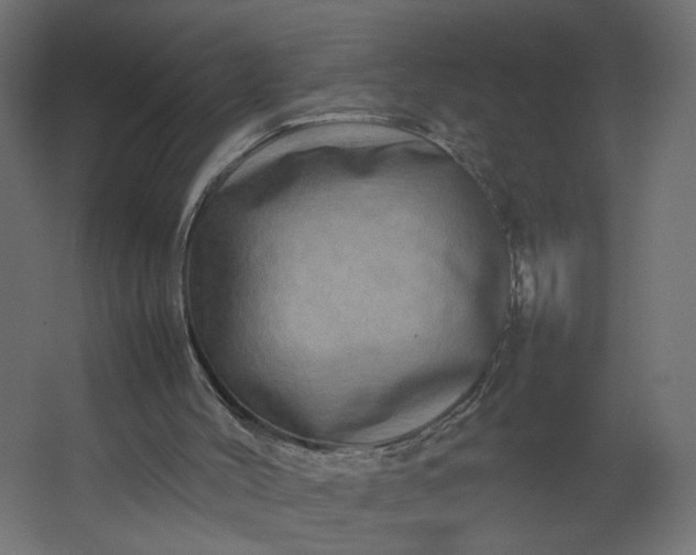 X0000067460004200604211553