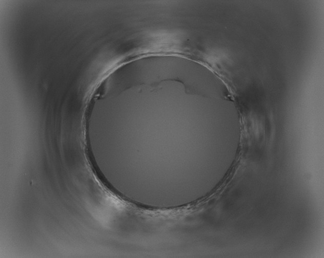 X0000067460005200604211553