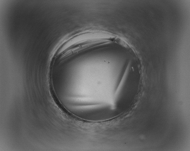 X0000067460007200604211553