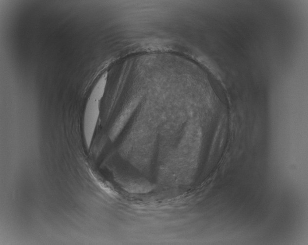 X0000067460009200604211553