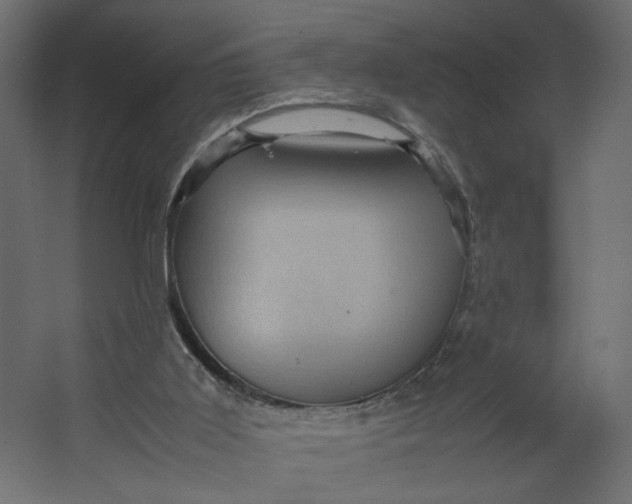 X0000067460011200604211553