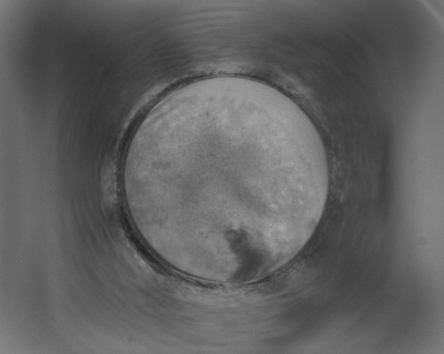 X0000067460012200604211553