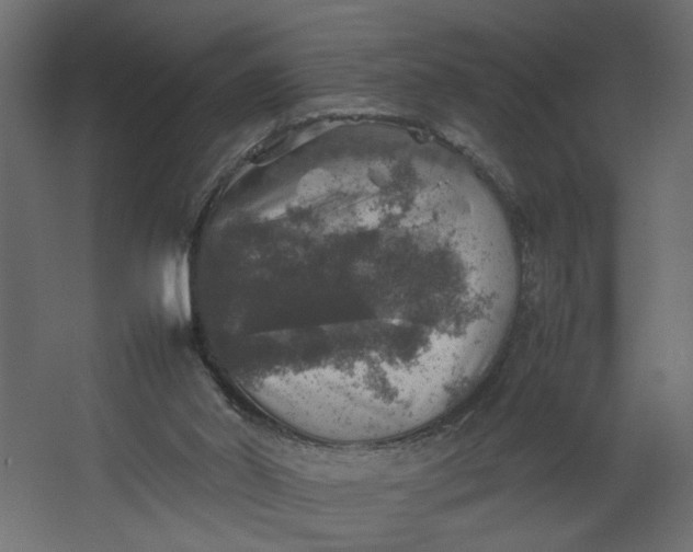 X0000067460014200604211553