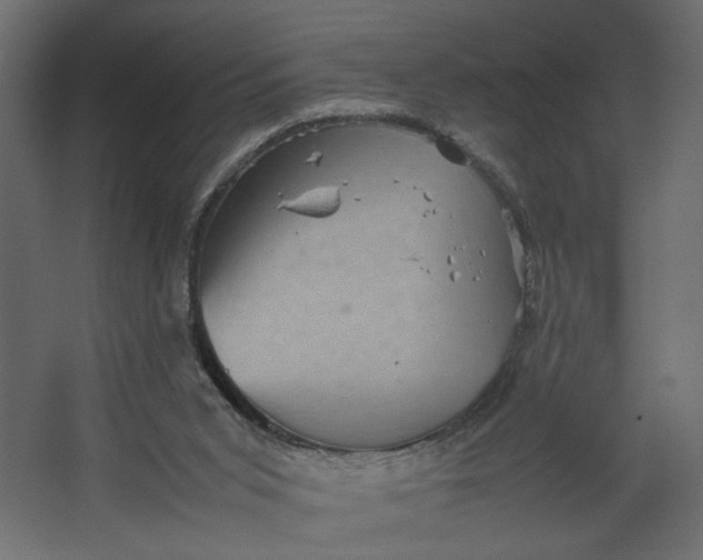 X0000067460015200604211553