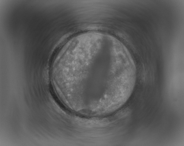 X0000067460016200604211553