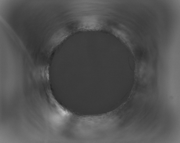 X0000067460017200604211553