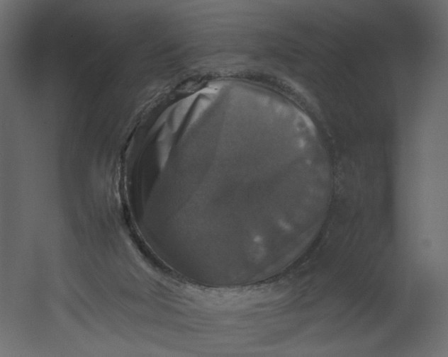 X0000067460018200604211553