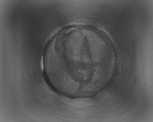 X0000067460020200604211553