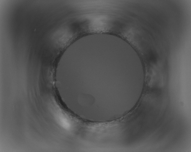 X0000067460021200604211553