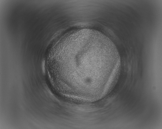 X0000067460024200604211553